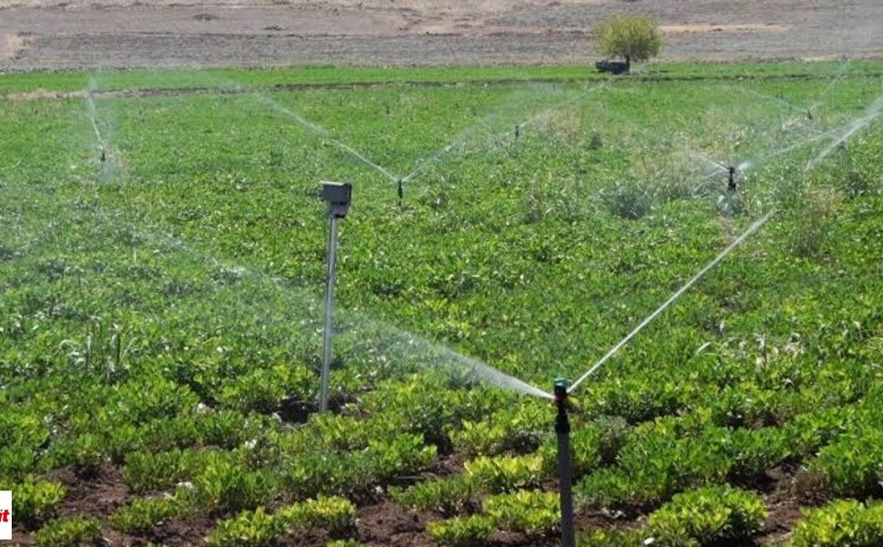 Tokatlı üreticilerin beklediği liste yayımlandı: 5 gün askıda kalacak, son tarih 28 Eylül