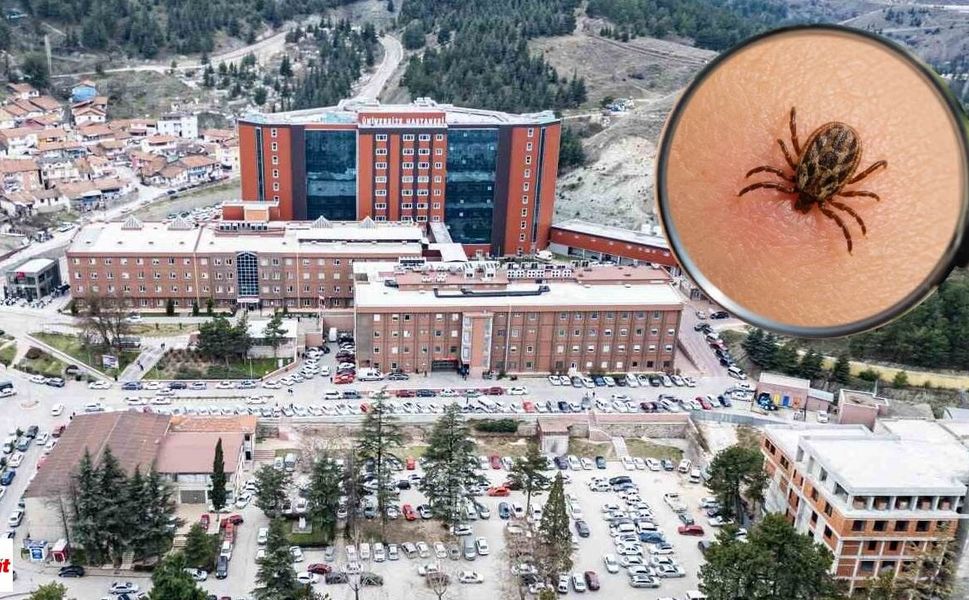 Tokat’ta kene alarmı: KKKA teşhisi konulan çocuk hastaneye kaldırıldı
