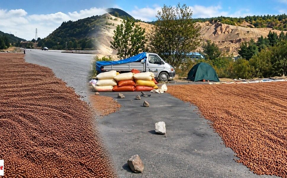 Yağmur çilesi kilometrelerce yol yaptırdı: Soluğu Reşadiye’de aldı