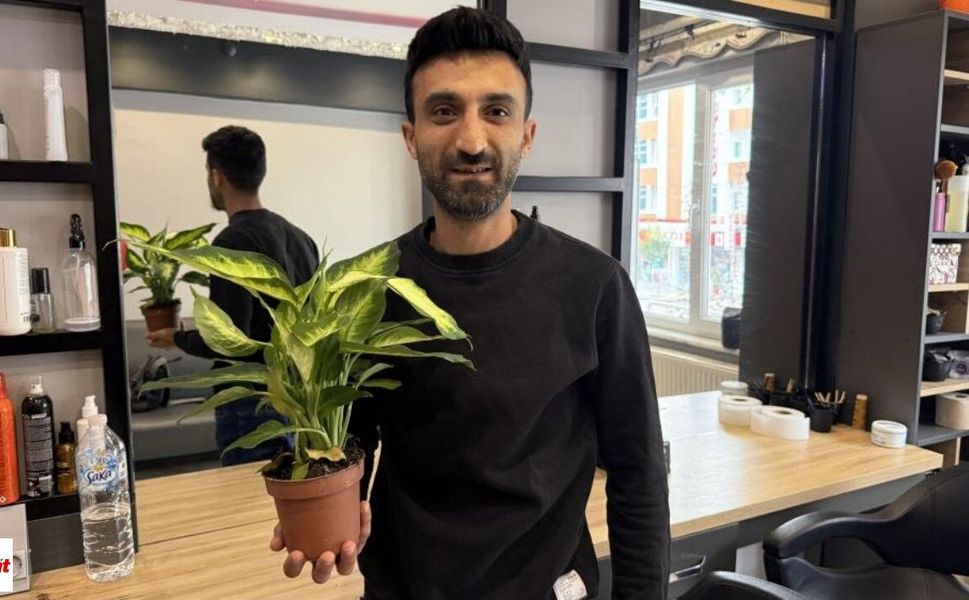 Evlerde Süs Bitkisi Olarak Bulunuyor: "Ağlayan Çiçek” Bu Kez Ağlattı