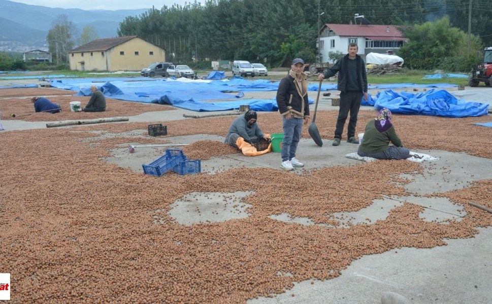 Korgan’da yağmurdan kaçtılar, Niksar’da yağışa yakalandılar: “Gel git, hepsi masraf”