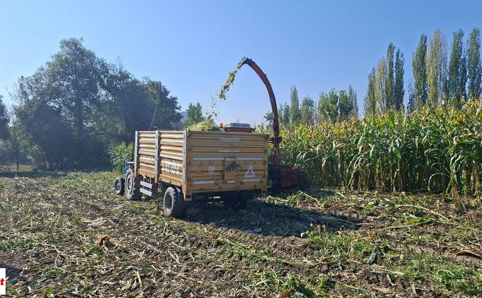 Tokat'ta Denendi 1600 Kg Tohum Kullanıldı 8000 Kg Verim Alandı Sonuç Gayet Başarılı Oldu Tamamı Yerliden Oluştu