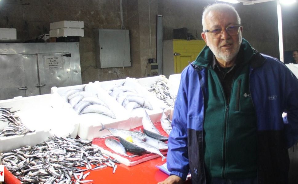 Hamsi Tezgâhta Bol Ama Kilo Fiyatı El Yakıyor! İşte Erbaa’da Güncel Balık Fiyatları