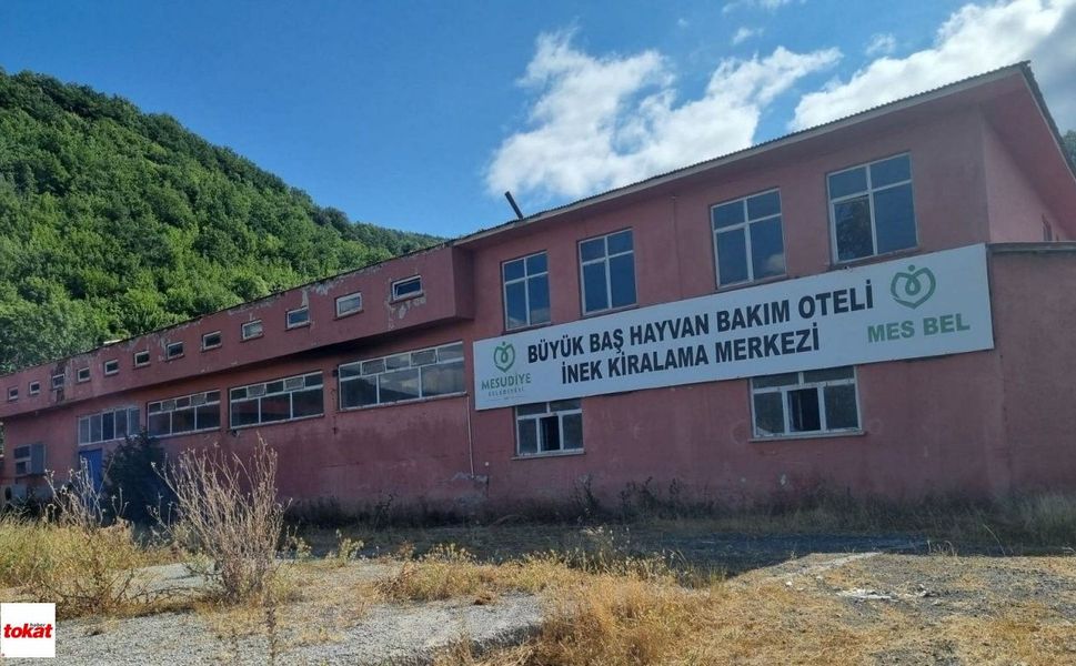 Tokat’ın Yanı Başındaki İnek Oteli Boş Kaldı