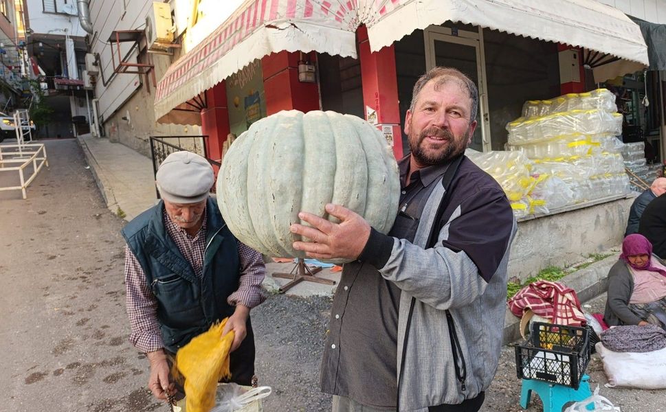Tokat’ta Tarlasında Yetiştirdi Pazara Getirdi 57 Kiloluk Devi Görenler İnanamadı