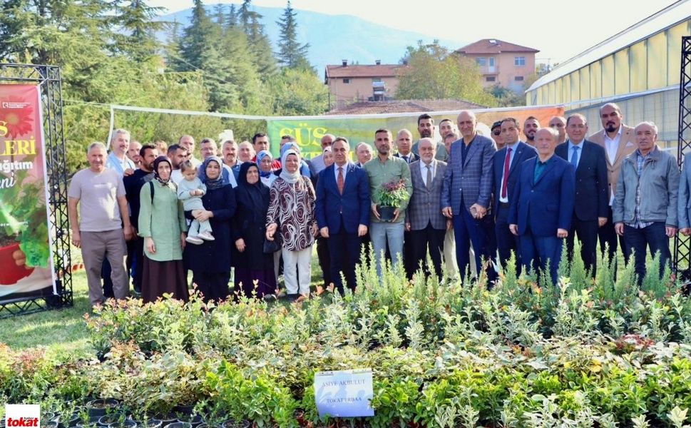 Tokat’ta süs bitkileri üretimine 905 bin TL’lik destek! 3 bin 900 fidan dağıtıldı