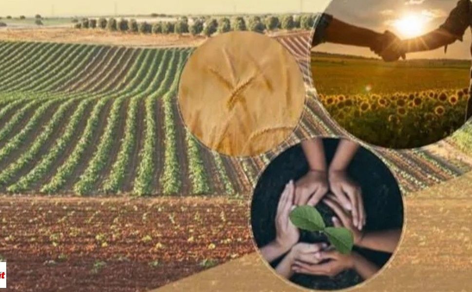 Tokat’ta 4 Birlik 1. Derece Oldu Buzağı Başına 400 TL Kuzu ve Oğlağa 86 TL Destek Verilecek