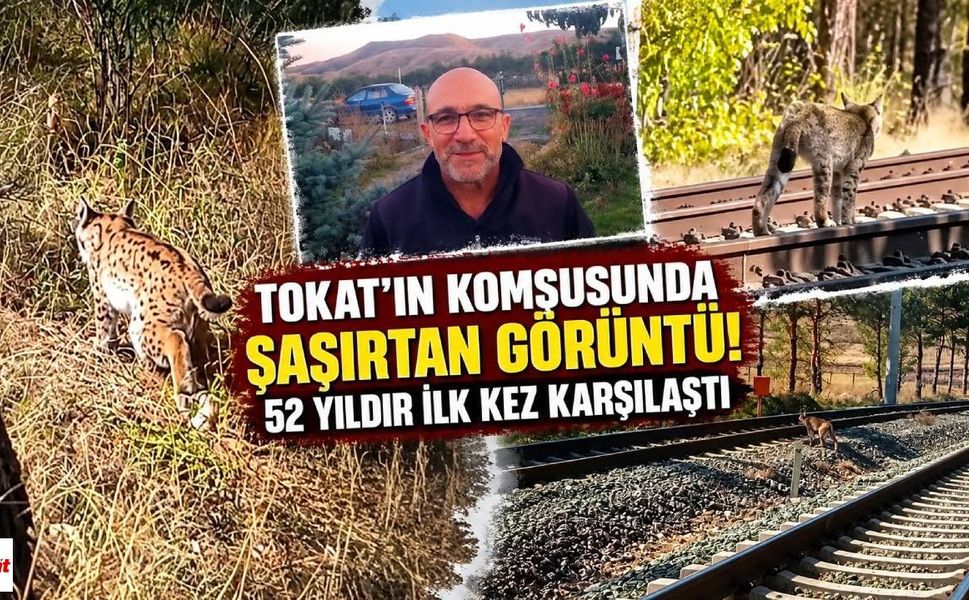 Tokat’ın Komşusunda Şaşırtan Görüntü! 52 Yıldır İlk Kez Karşılaştı