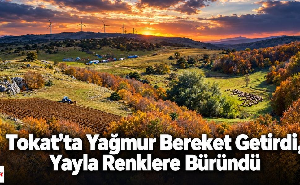 Tokat’ta Yağmur Bereket Getirdi, Yayla Renklere Büründü