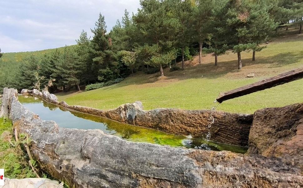 Topçam Yaylası’nda sonbahar büyüsü! Doğanın renk cümbüşü hayran bıraktı