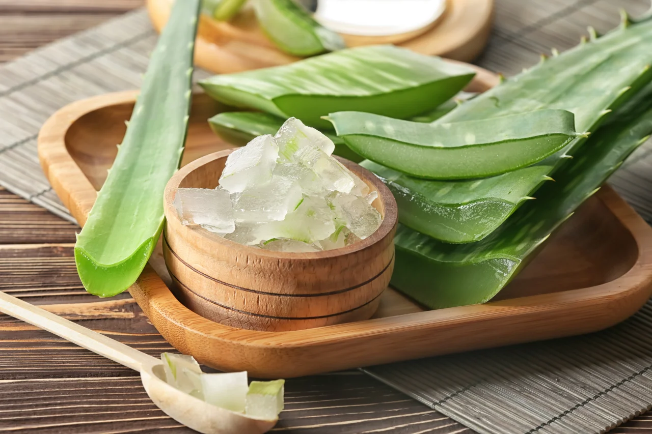 1714734255 Aloe Vera T O K A T H A B E R