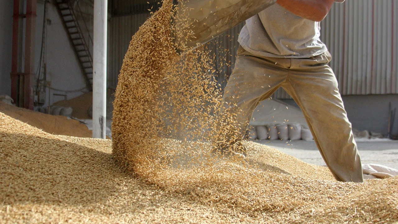 Buğday Fiyat2 Tokathaber