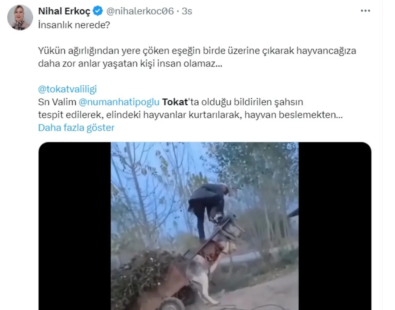 Eşek Tokat Haber