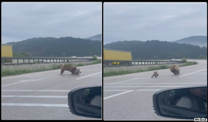 Tokat Haberayı1
