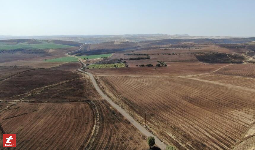 Tokat Haberanız Yangını3