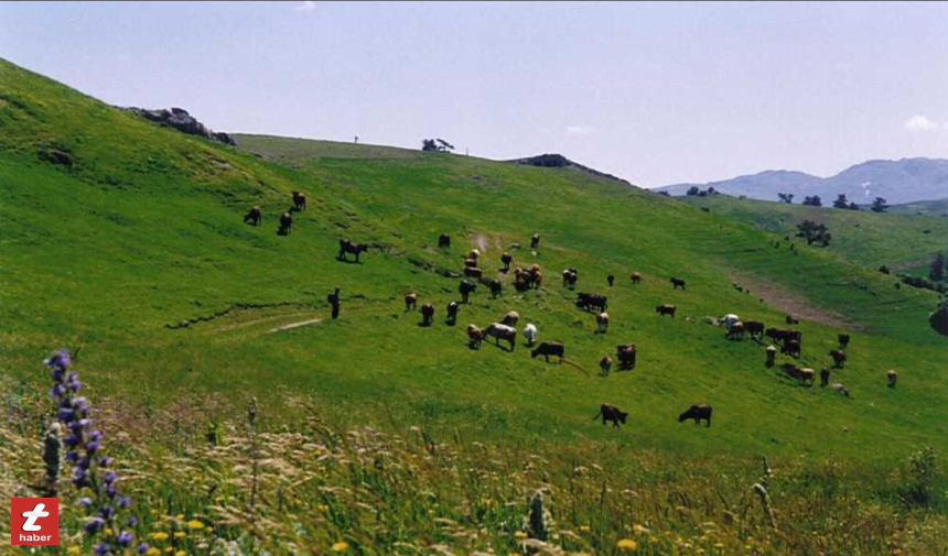 Tokat Habersoğuk (3)