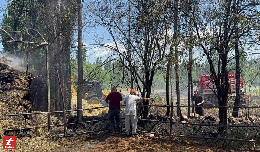 Tokat Haberyangın Burdur