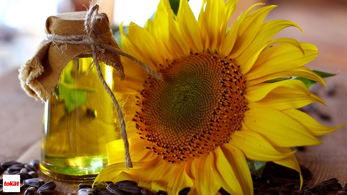 Sunflower Oil And Sunflower