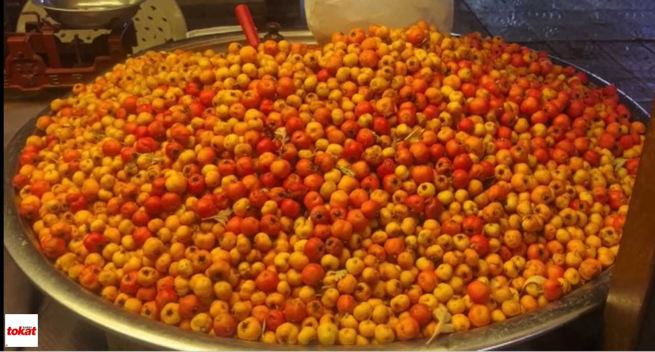 Alıç (2)