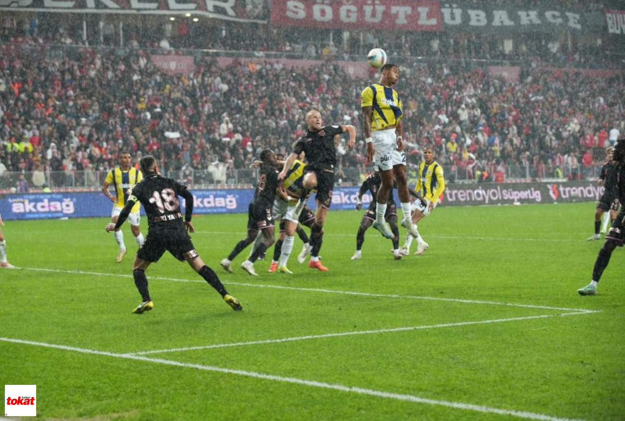 Fener3