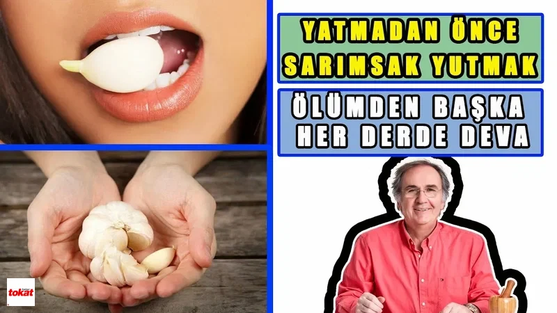 Sarımsak (1)