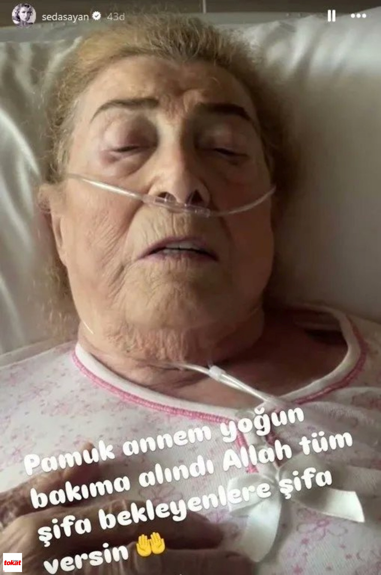 Seda Sayan Annesi