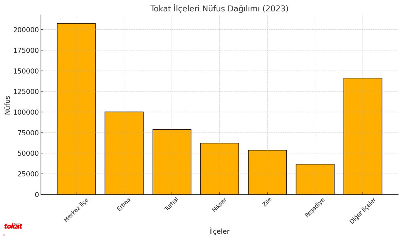 Tokat Grafik (1)