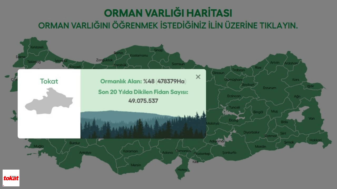 Tokat Orman Varlığı Haritası1