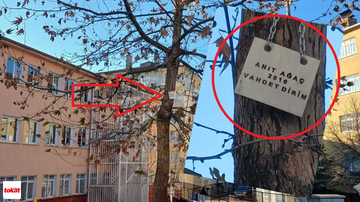 Anıt Ağaç