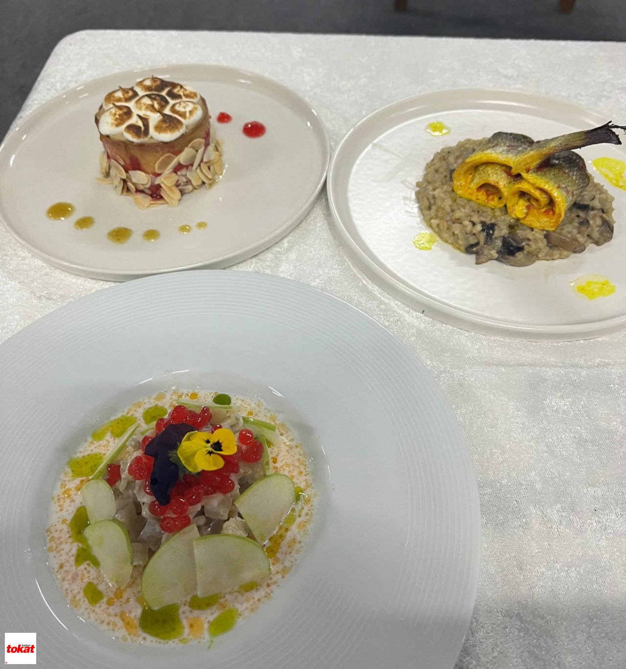 Gastro5