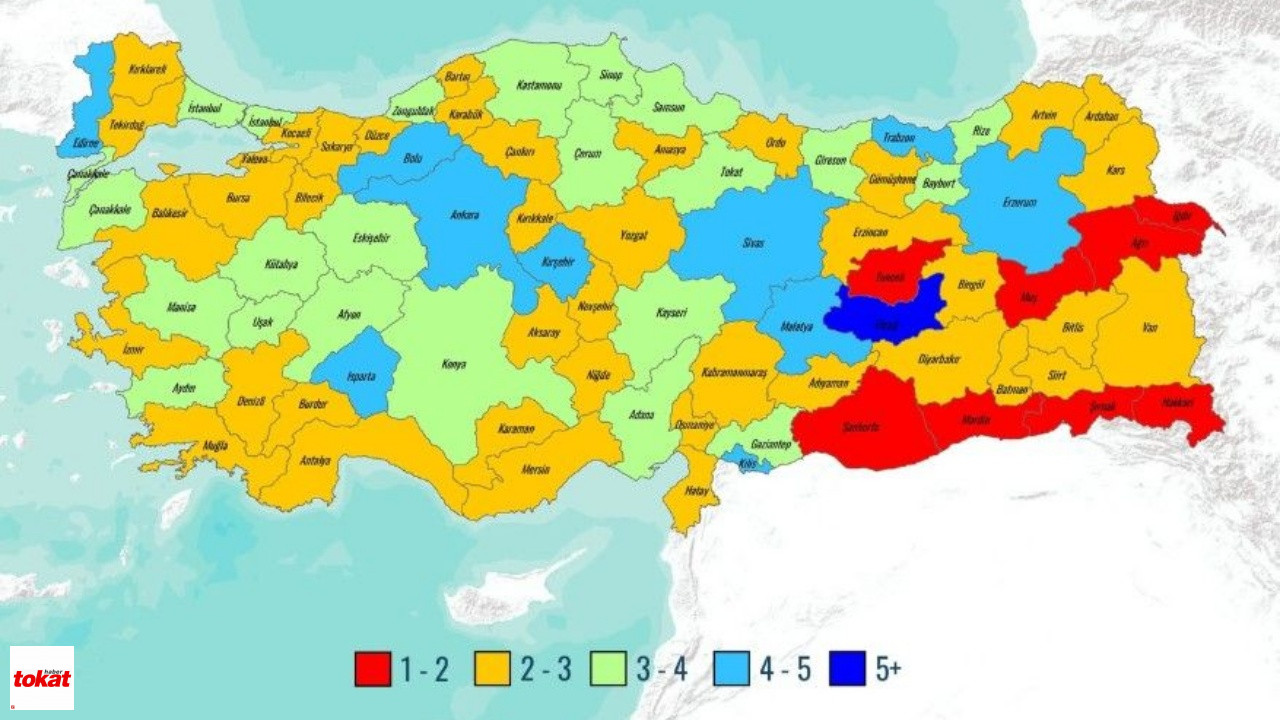 Tokat 1000 Kişiye Düşen Hastane Yatak Sayısı