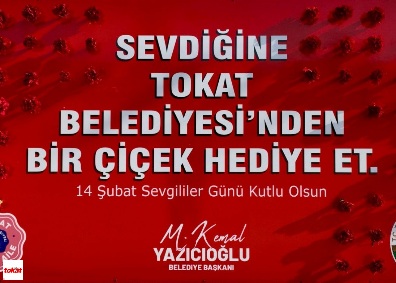 Aşk Tokat (4)