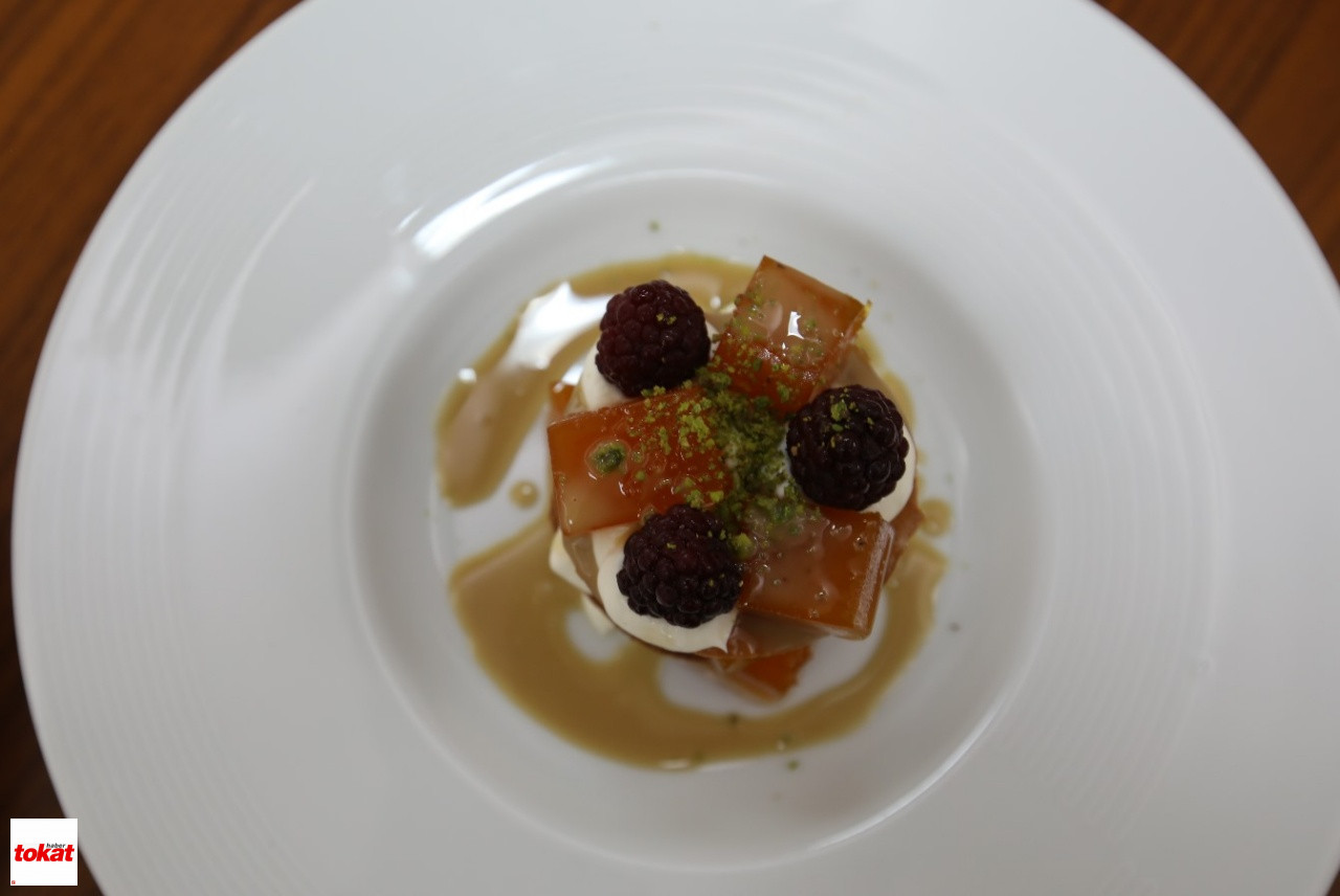 Gastro (7)