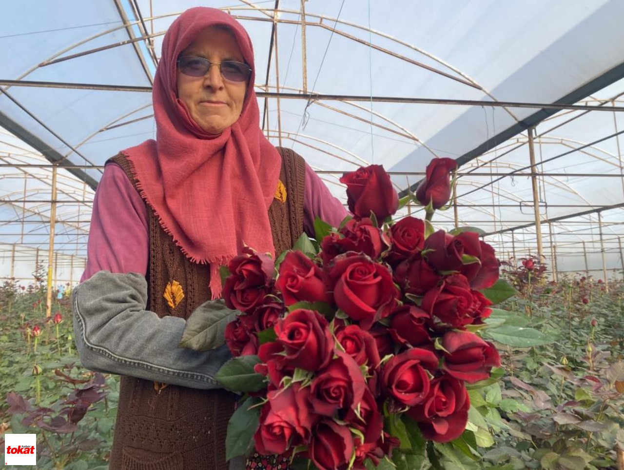 Gül (1)