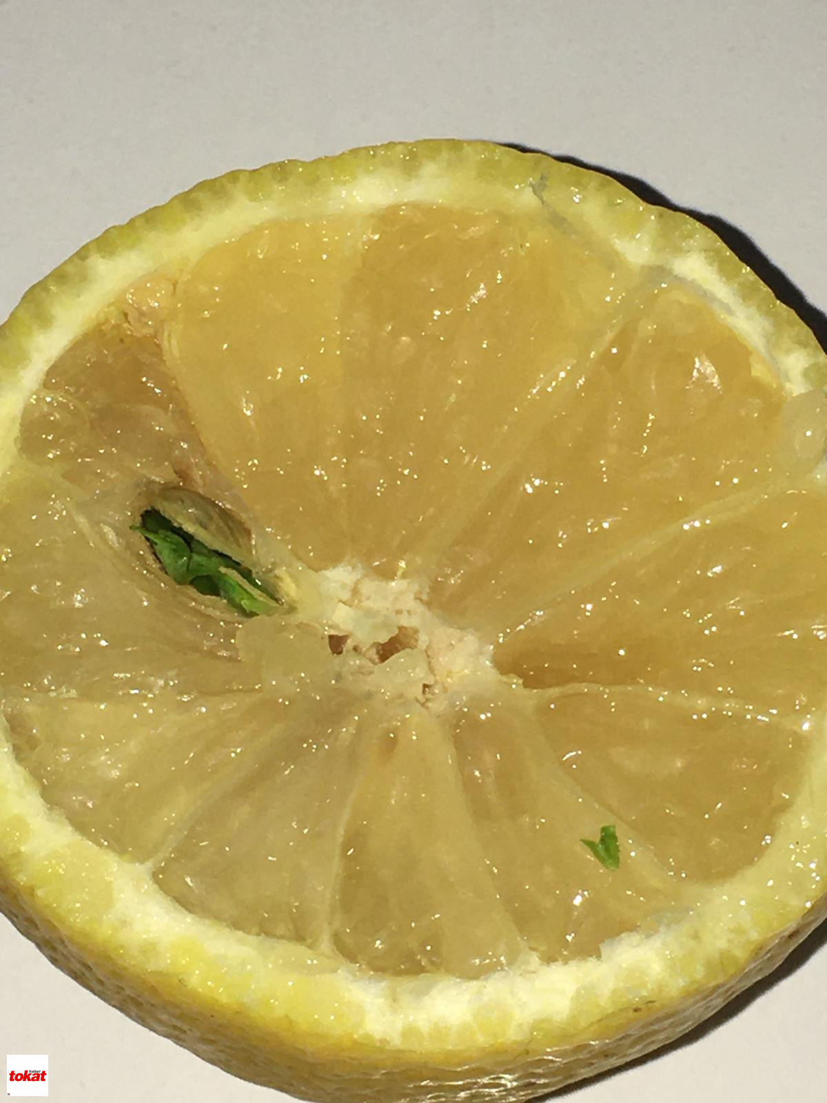 Limon (2)