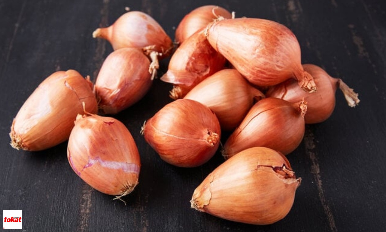 Soğan