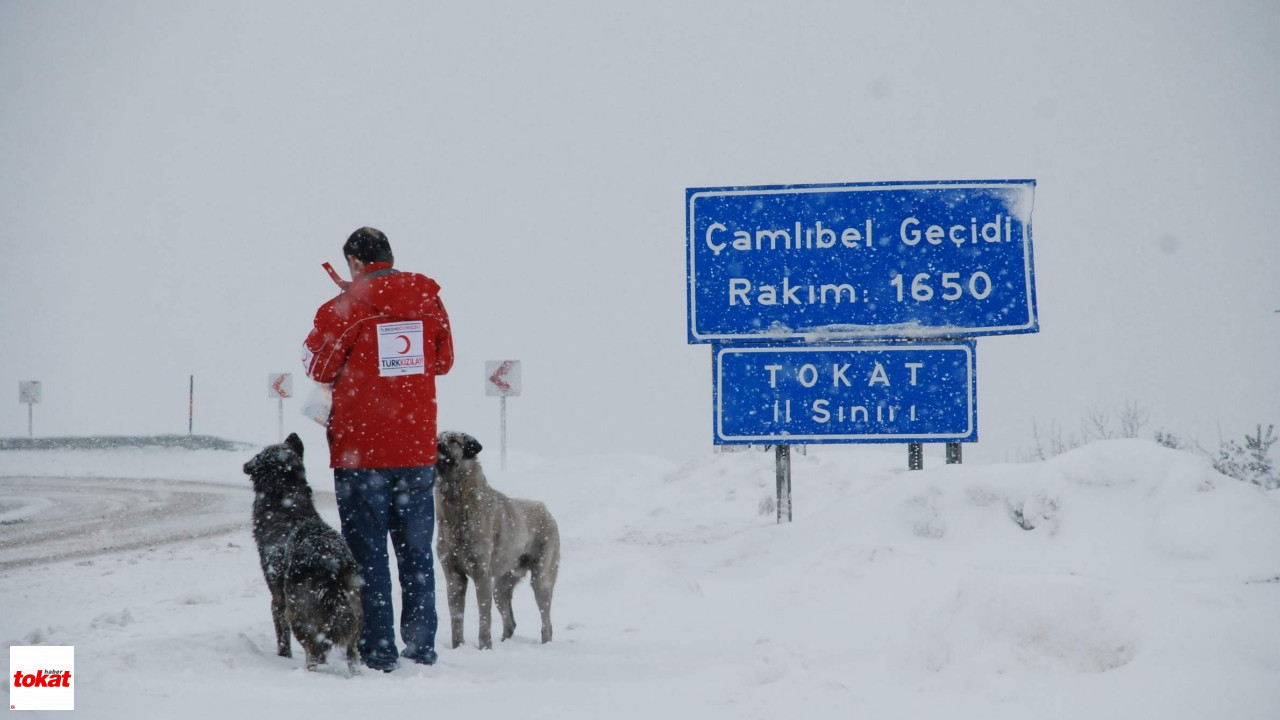 Tokat Kar Çamlıbel (2)