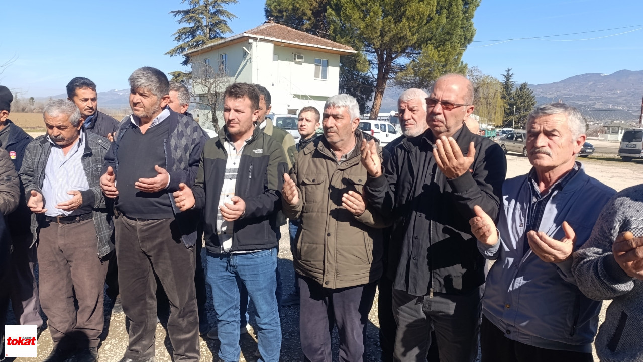 Niksar Tohum Dağıtımı (5)