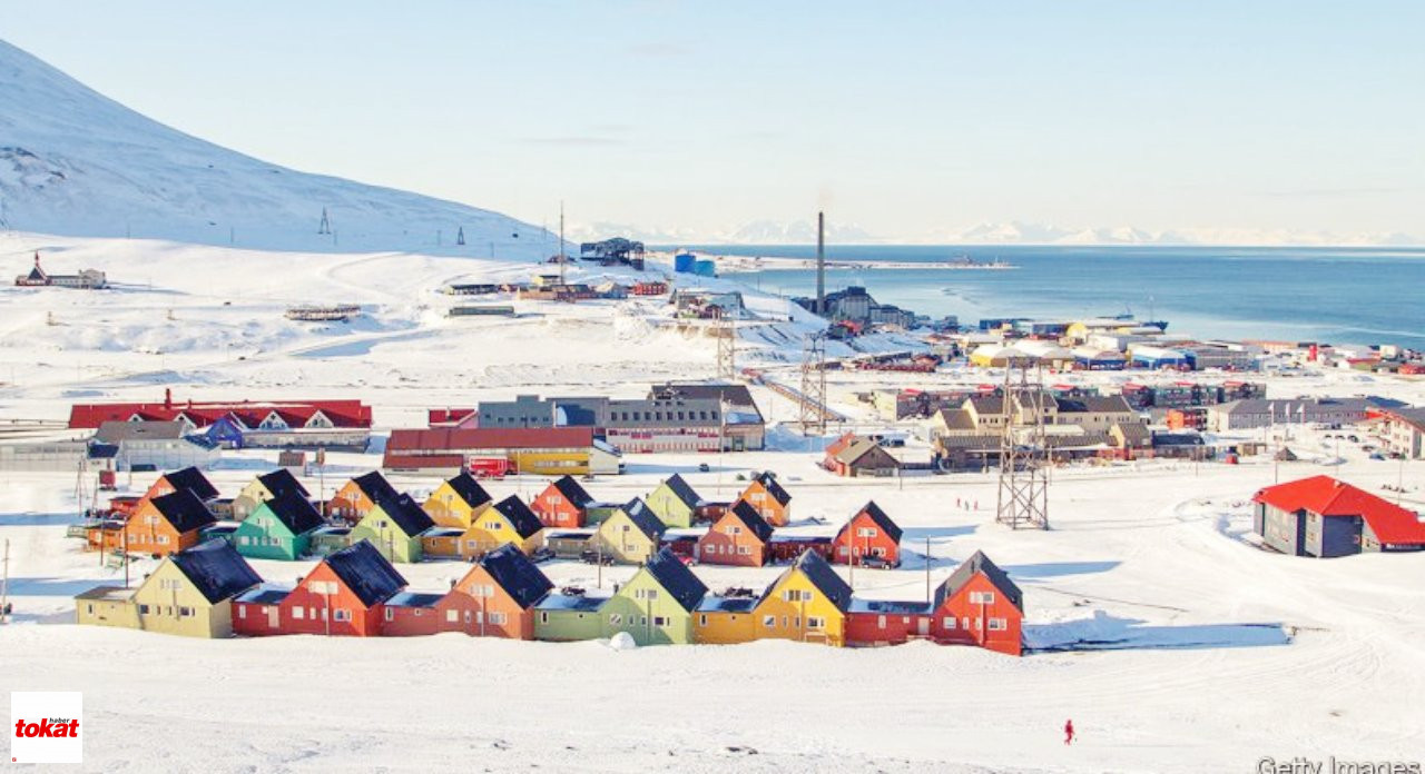 Nordik Simit Svalbard Tokat Haber1