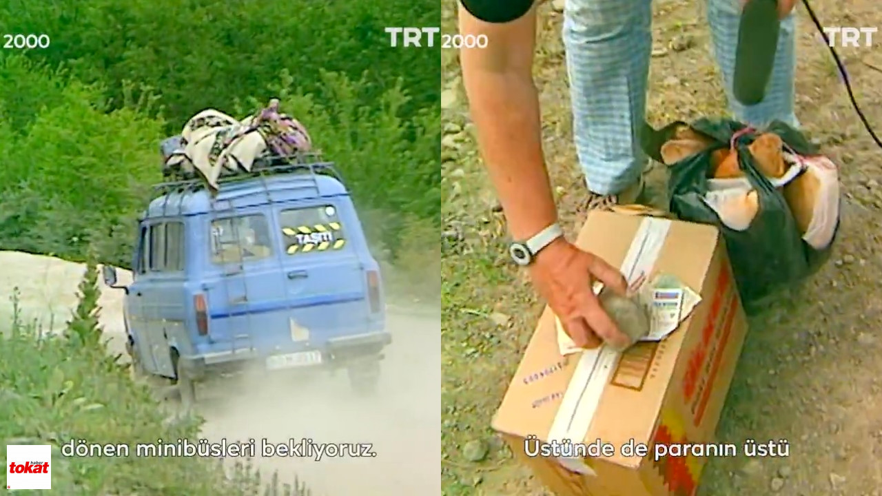 Trt2-2