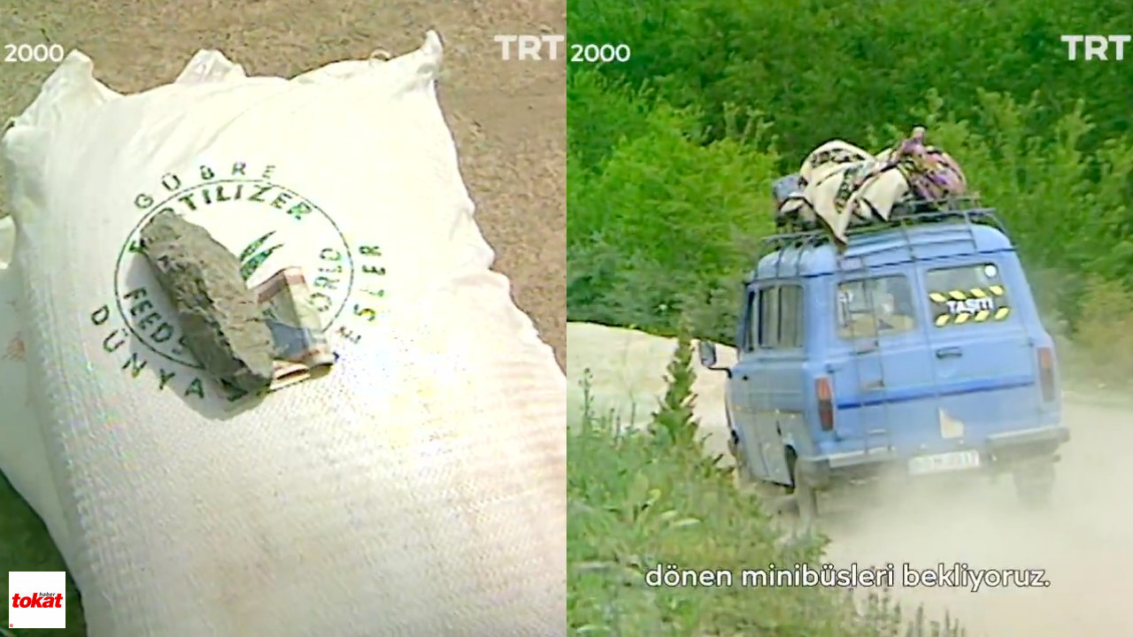 Trt3-1
