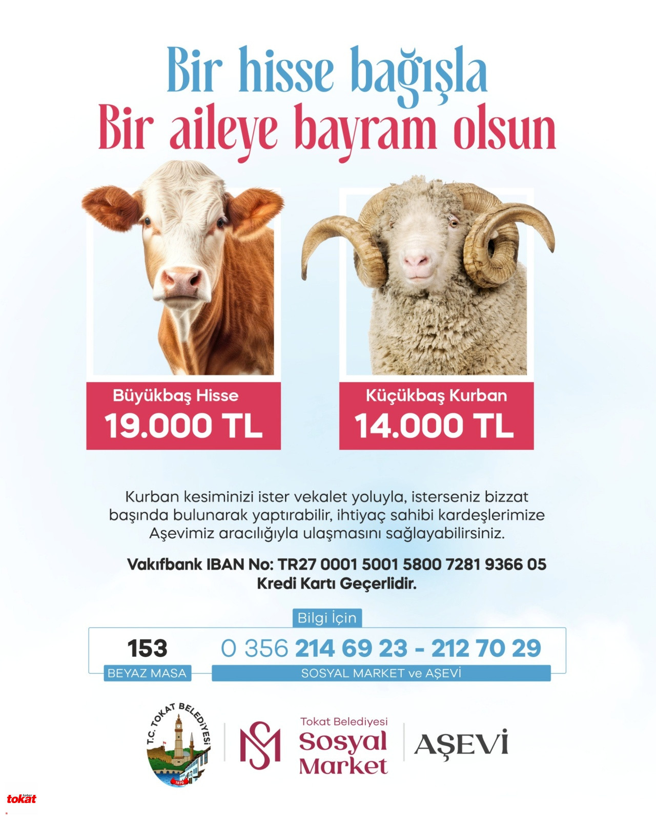 64897B8B 3406 4480 A968 704E965Bacbe