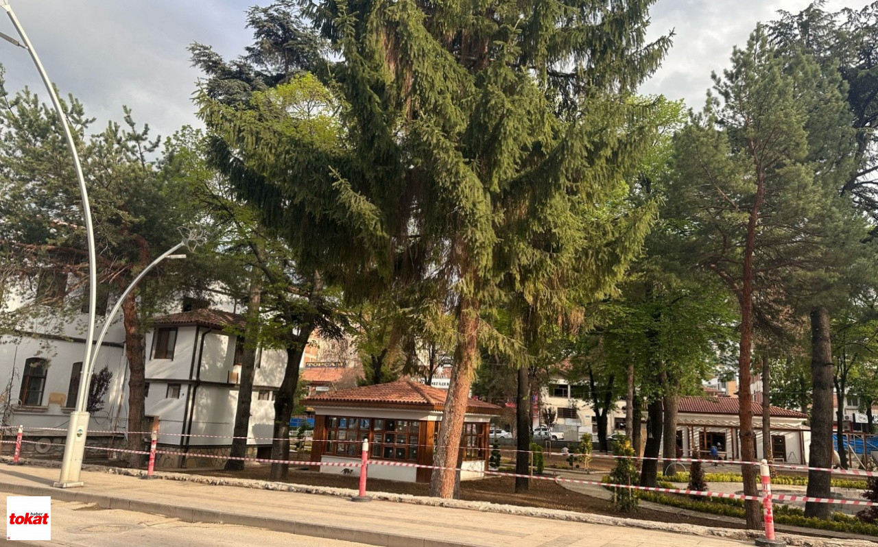 Dudayev Park (4)