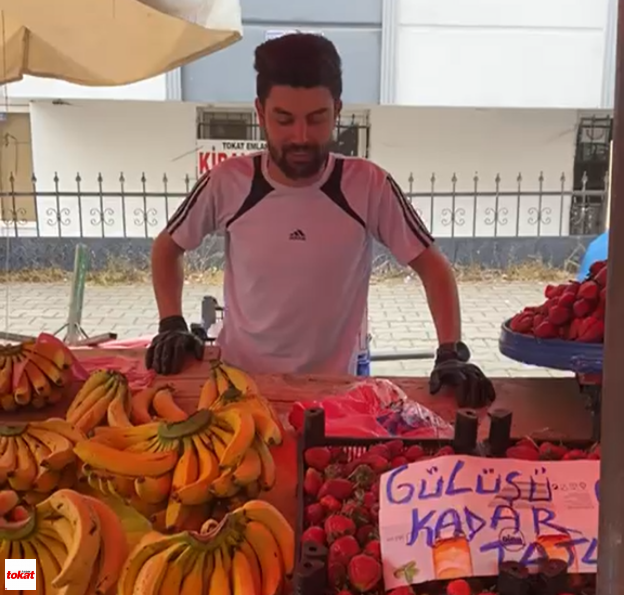 Tokat Pazarında Meyve Satışı