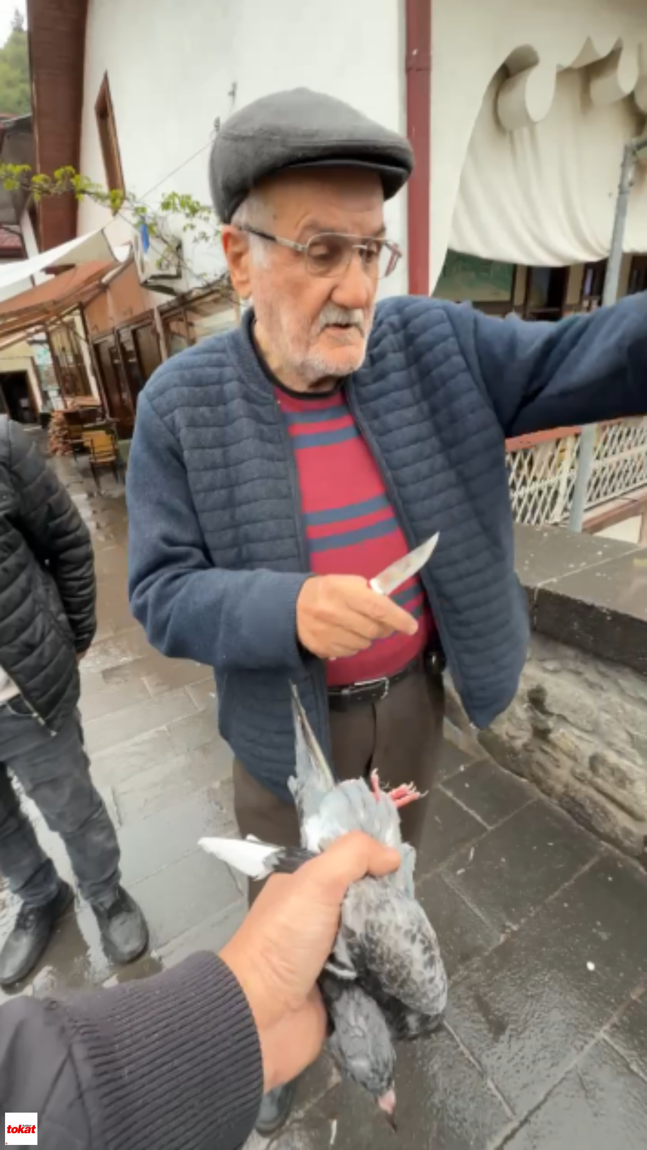 Kuş (4)