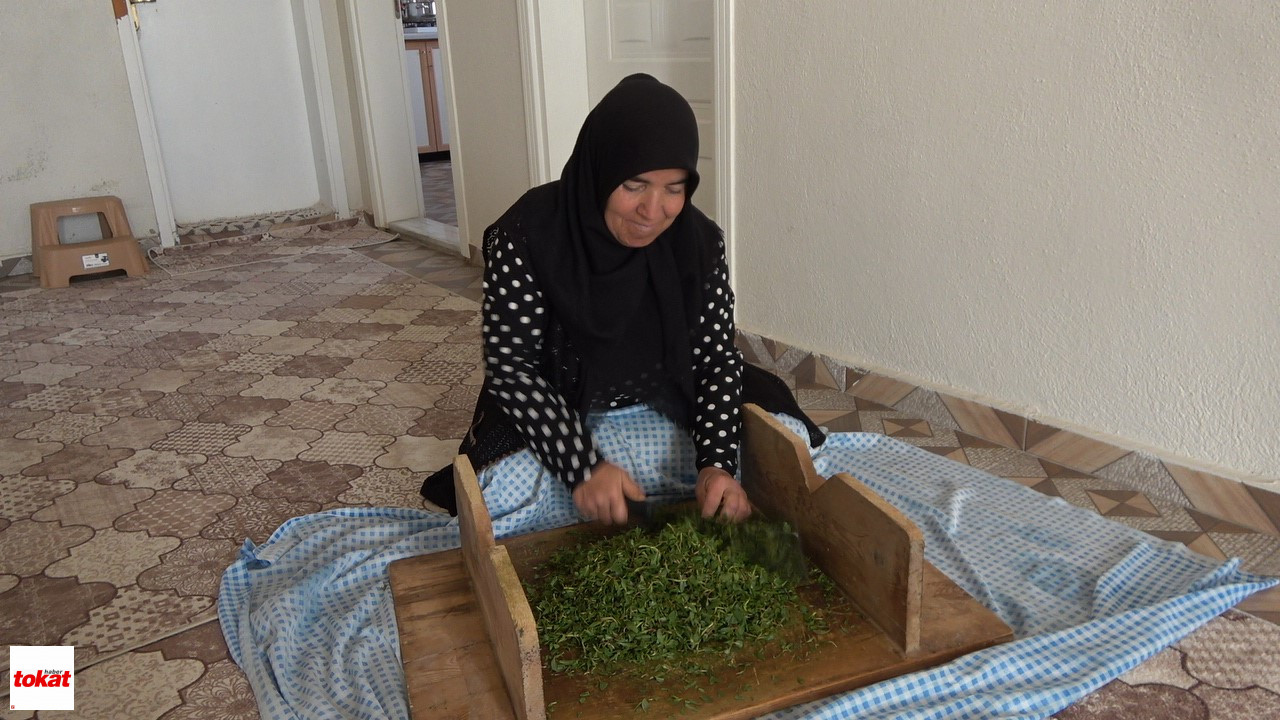 Madımak (1)