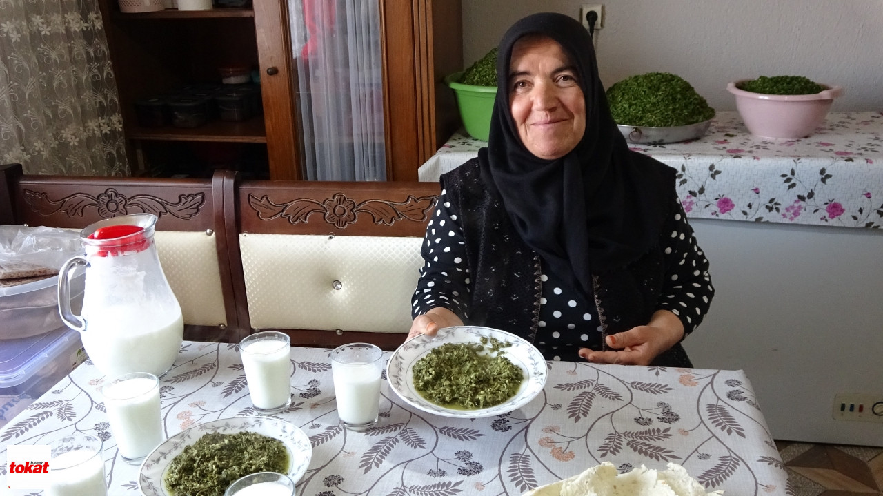 Madımak (3)
