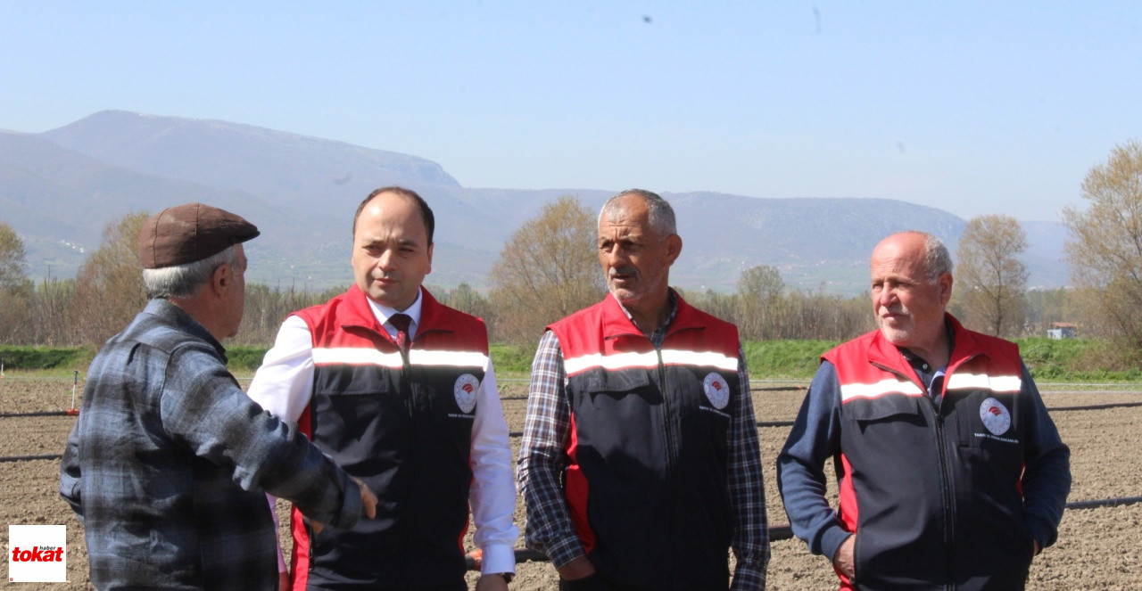 Pazar Yeşillik (1)
