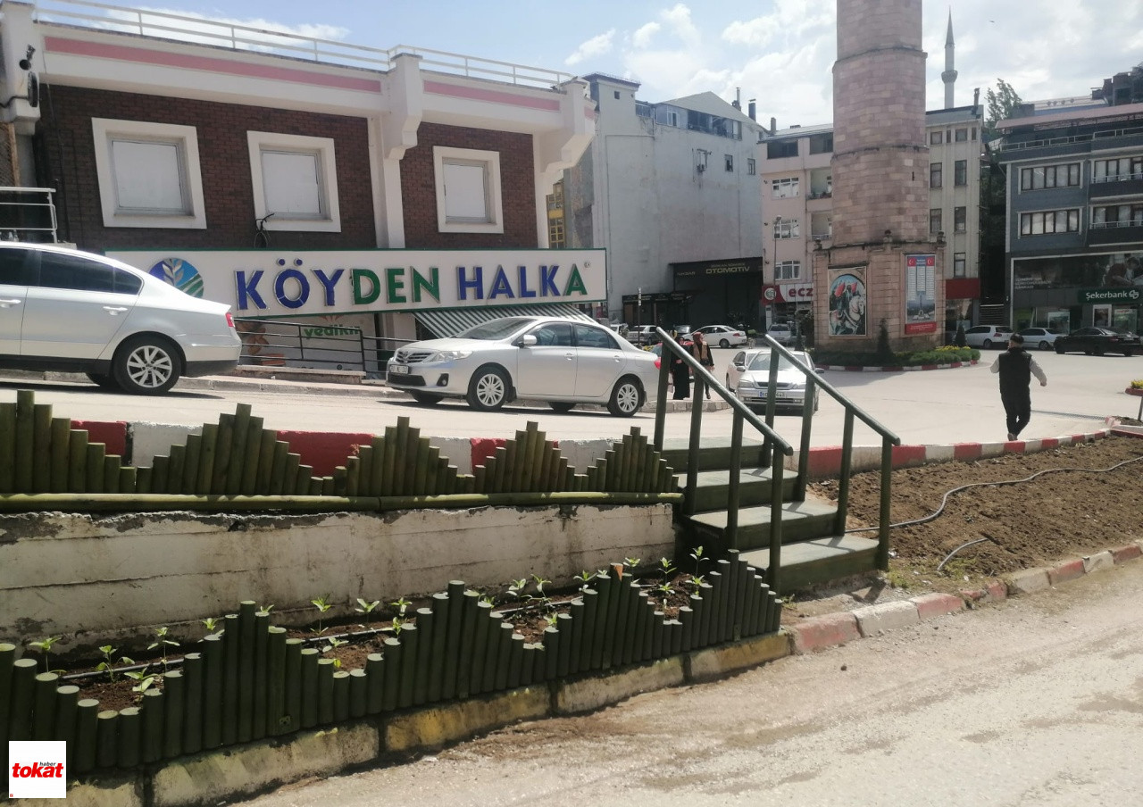Peyzaj (1)