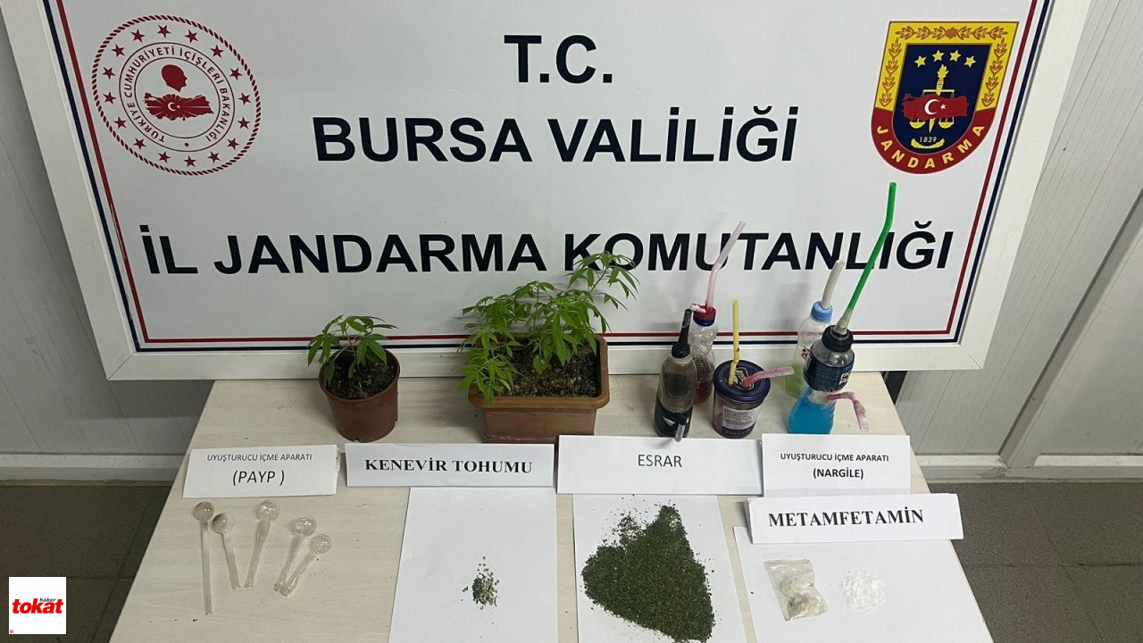 Uyuşturucu Partisine Jandarma Baskını 8 Gözaltı